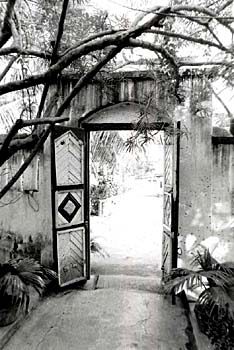 The garden gate of the Z Hotel, in black and white