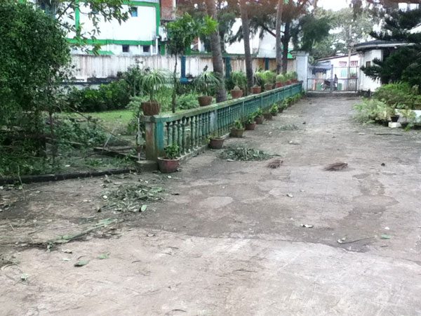 The front driveway littered with leaves and branches after Cyclone Phailin