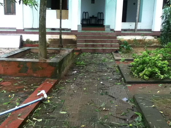 The front steps and garden after Cyclone Phailin