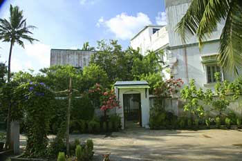 The front garden and the gate